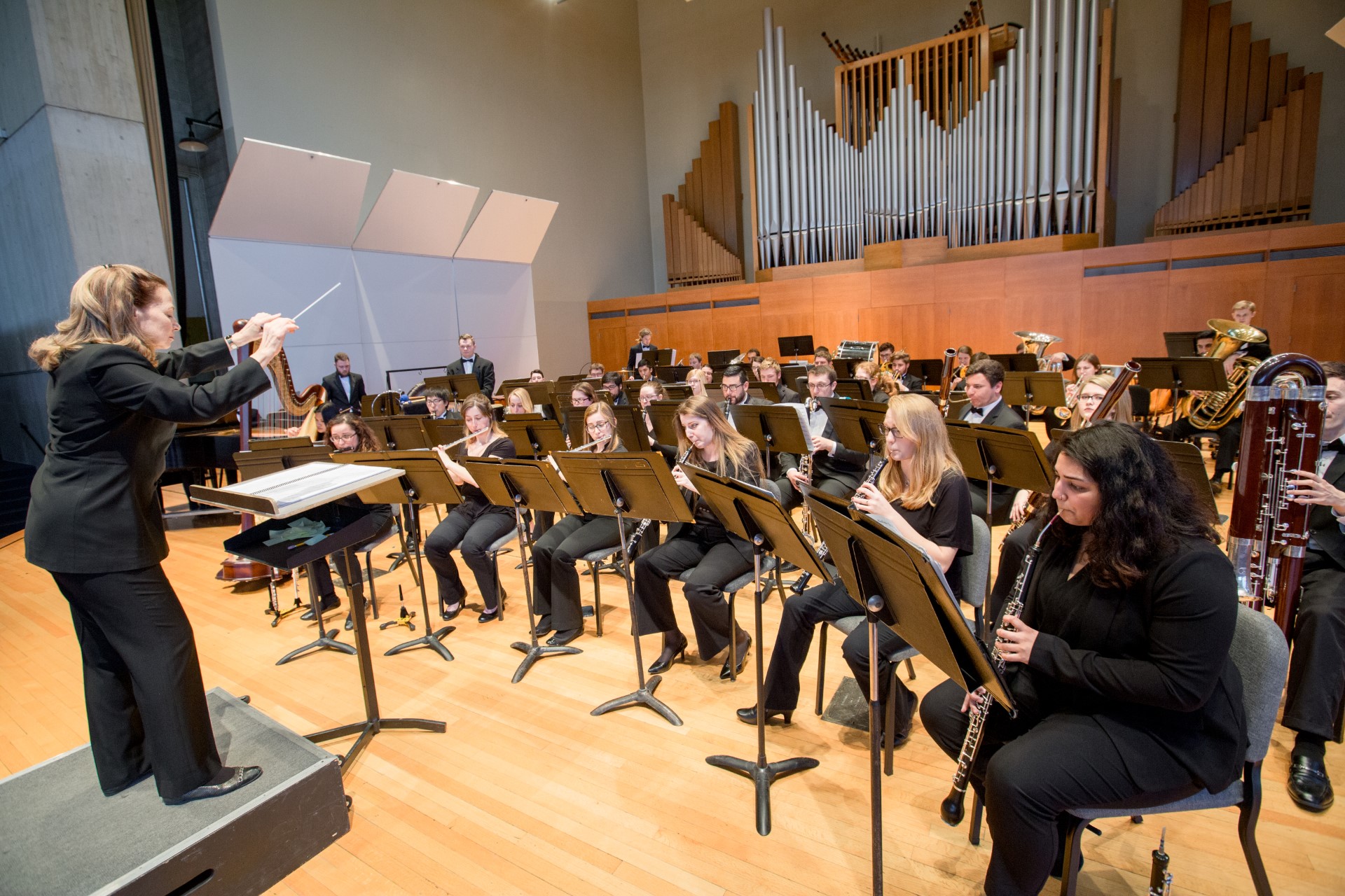 Unique blend of music to highlight concert at SUNY | News, Sports, Jobs - Vimarsana News